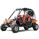 200cc Adult Gas Go-Kart 4 Seater DF GHA With Auto Tranny/Reverse Gear